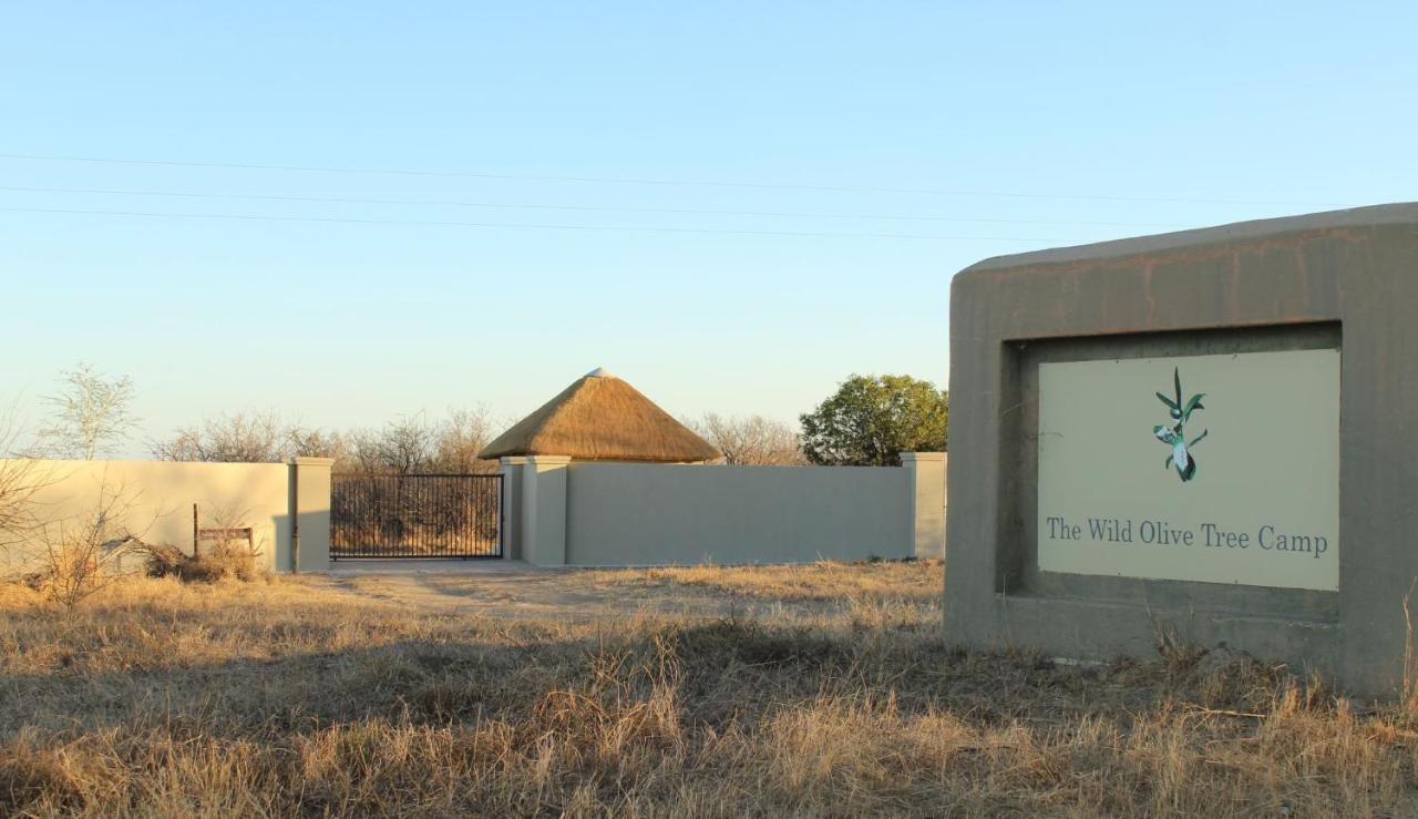 The Wild Olive Tree Camp Welverdiend (Mpumalanga)