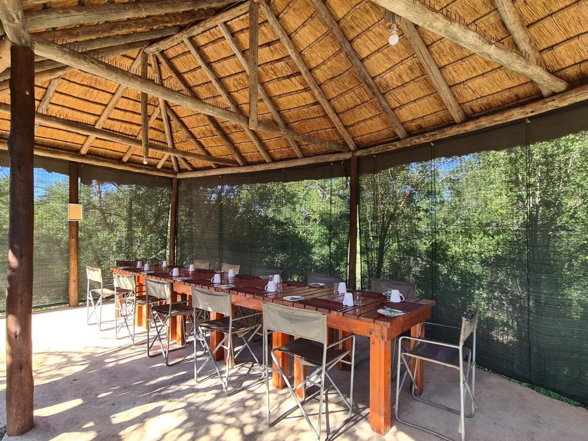 The Wild Olive Tree Camp