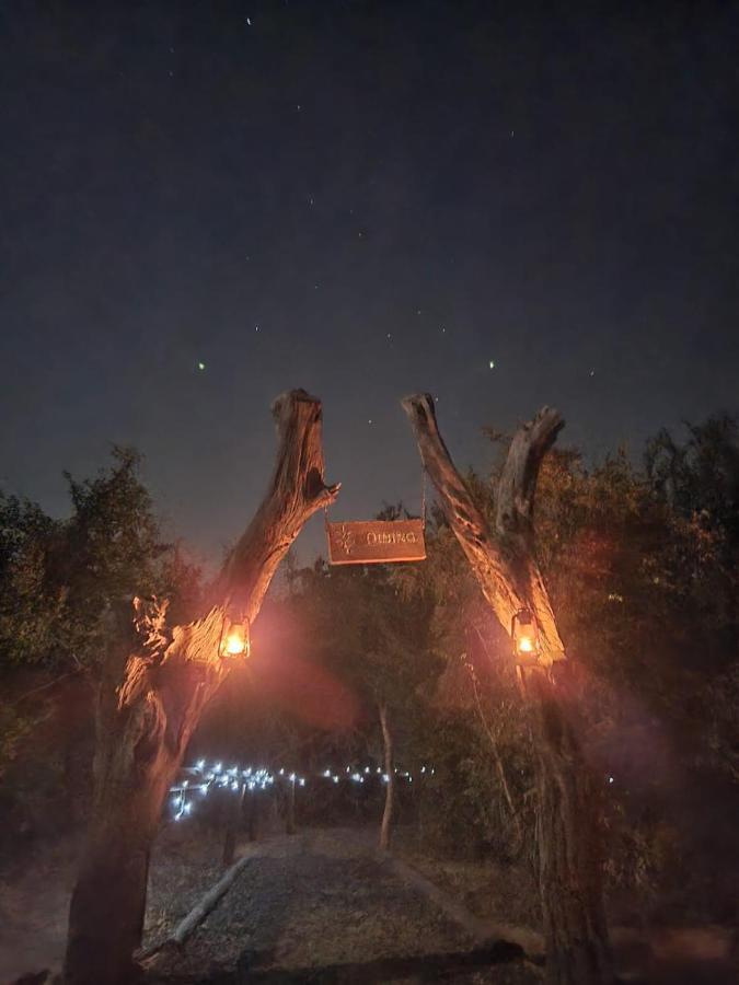 The Wild Olive Tree Camp 2* Welverdiend (Mpumalanga)